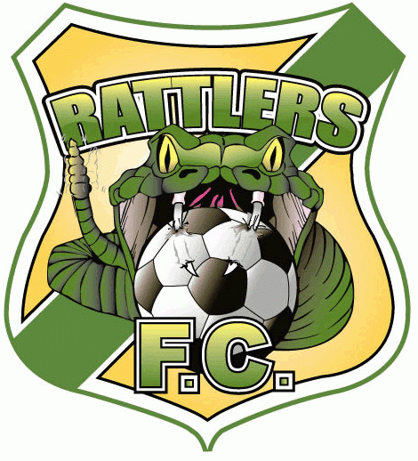 lancaster rattlers 2007-2010 primary Logo t shirt iron on transfers